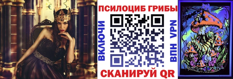 закладка  Новая Усмань  Галлюциногенные грибы мухоморы 